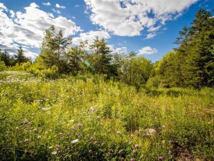 Property Photo:  Lot A2 Aylesford Road  NS B0P 1C0 
