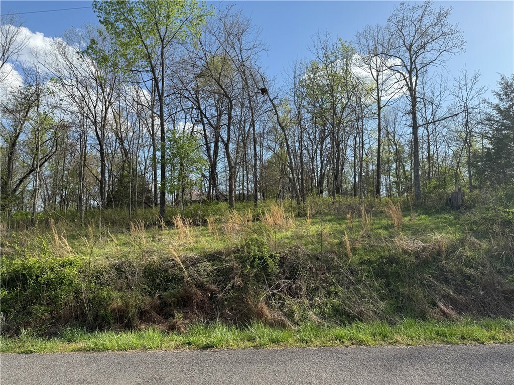 Property Photo: Dunkeld Drive AR 72715