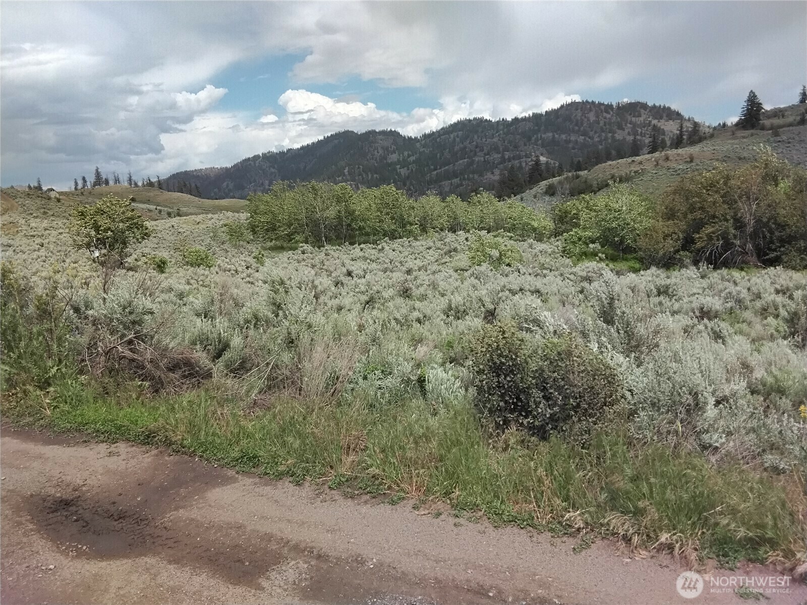 Property Photo: 44 Palmer Mountain Road WA 98844
