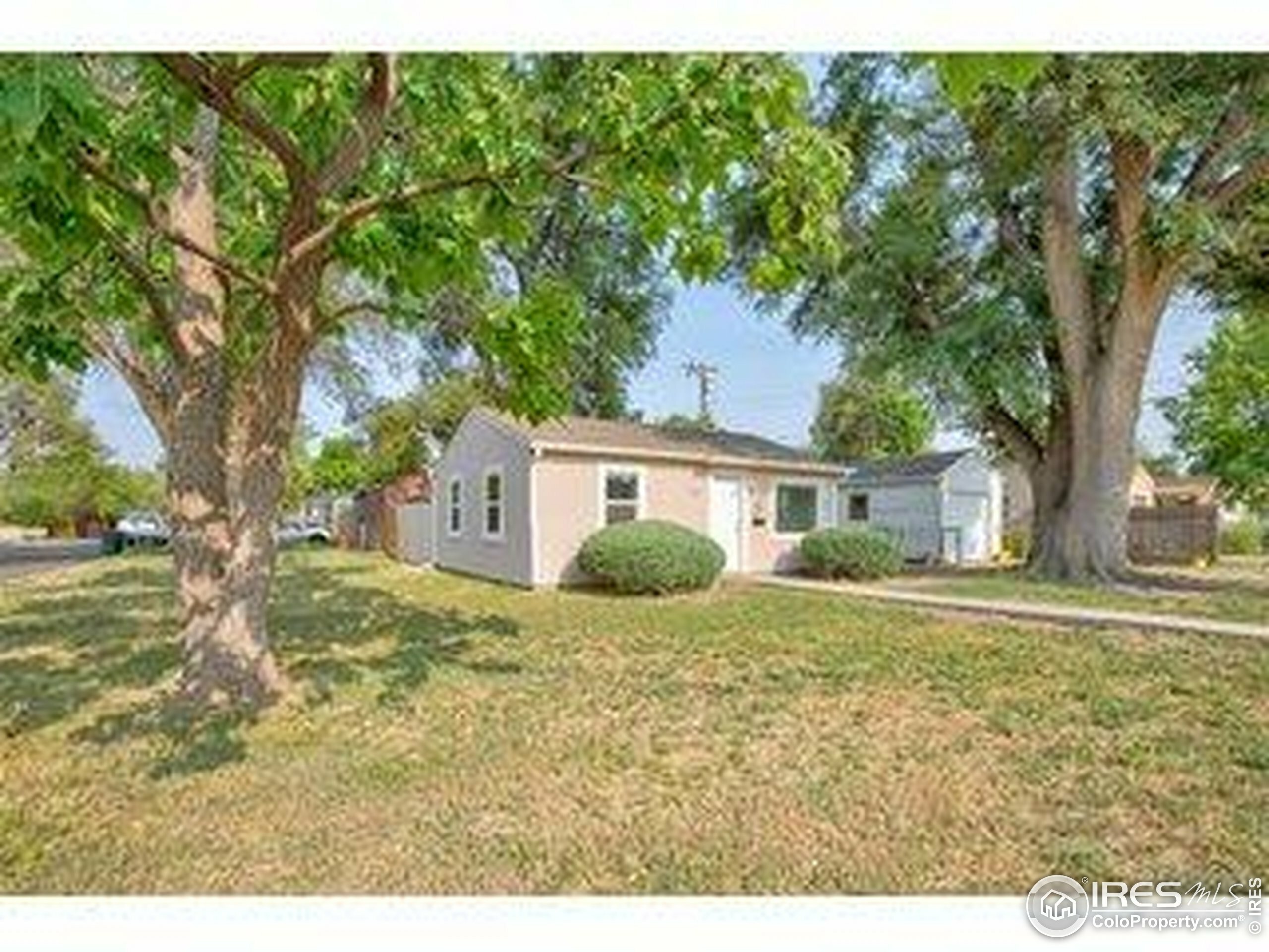 Property Photo: 618 19th Ave CO 80631