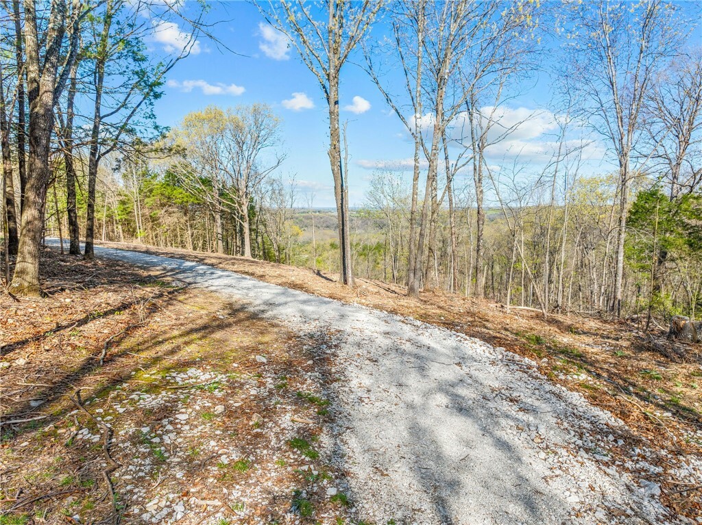 Property Photo:  000 Tower Road  AR 72662 