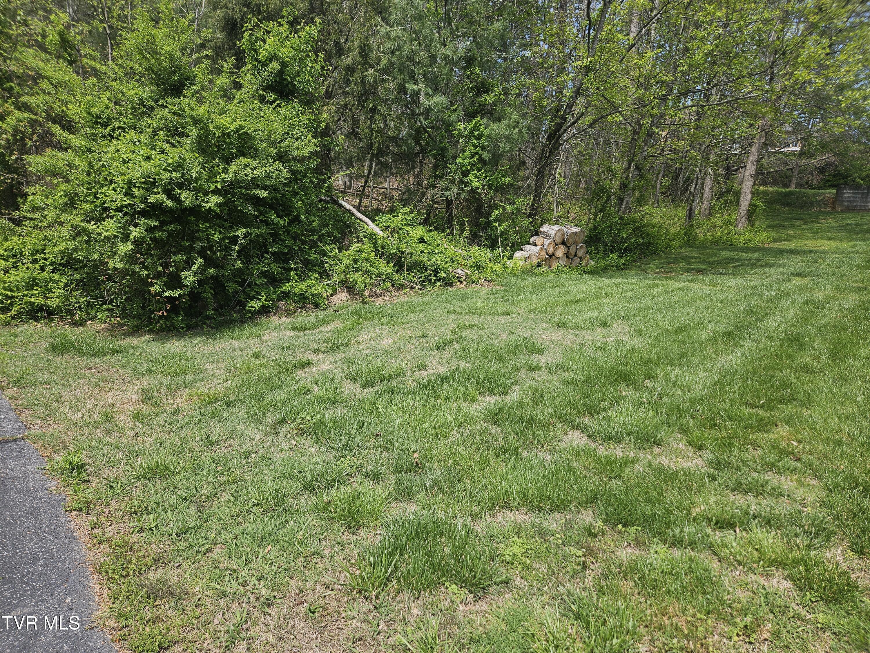 Property Photo: 0 Arnold Palmer Dr TN 37743