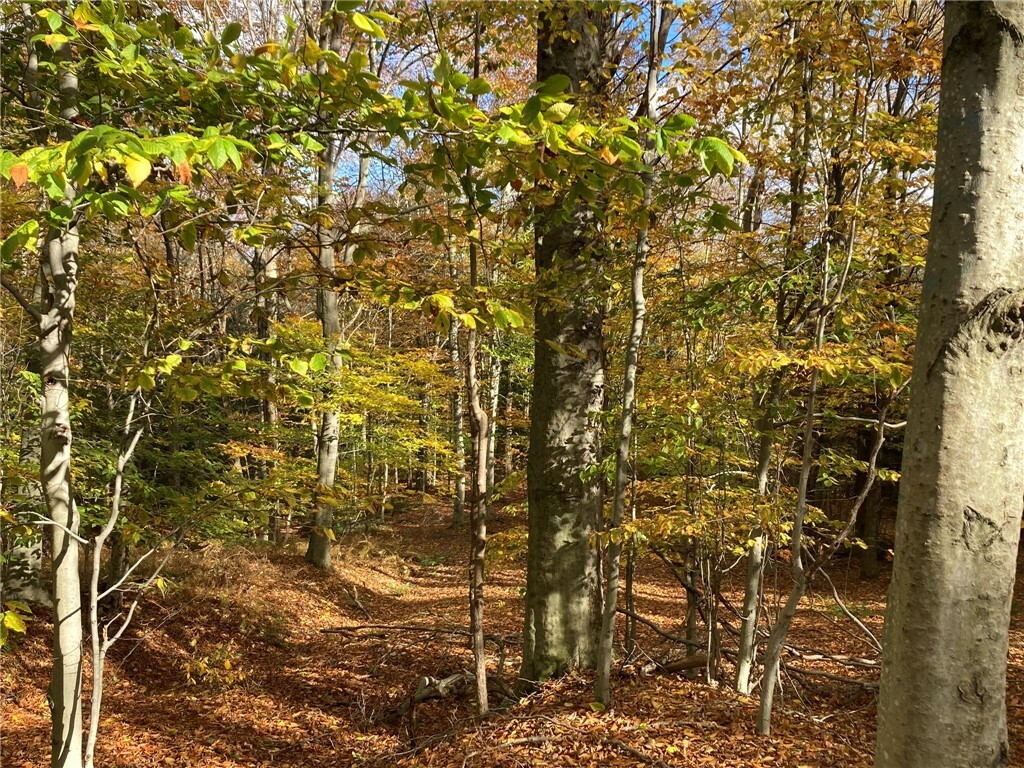 Property Photo:  Sanford Road  NY 13156 