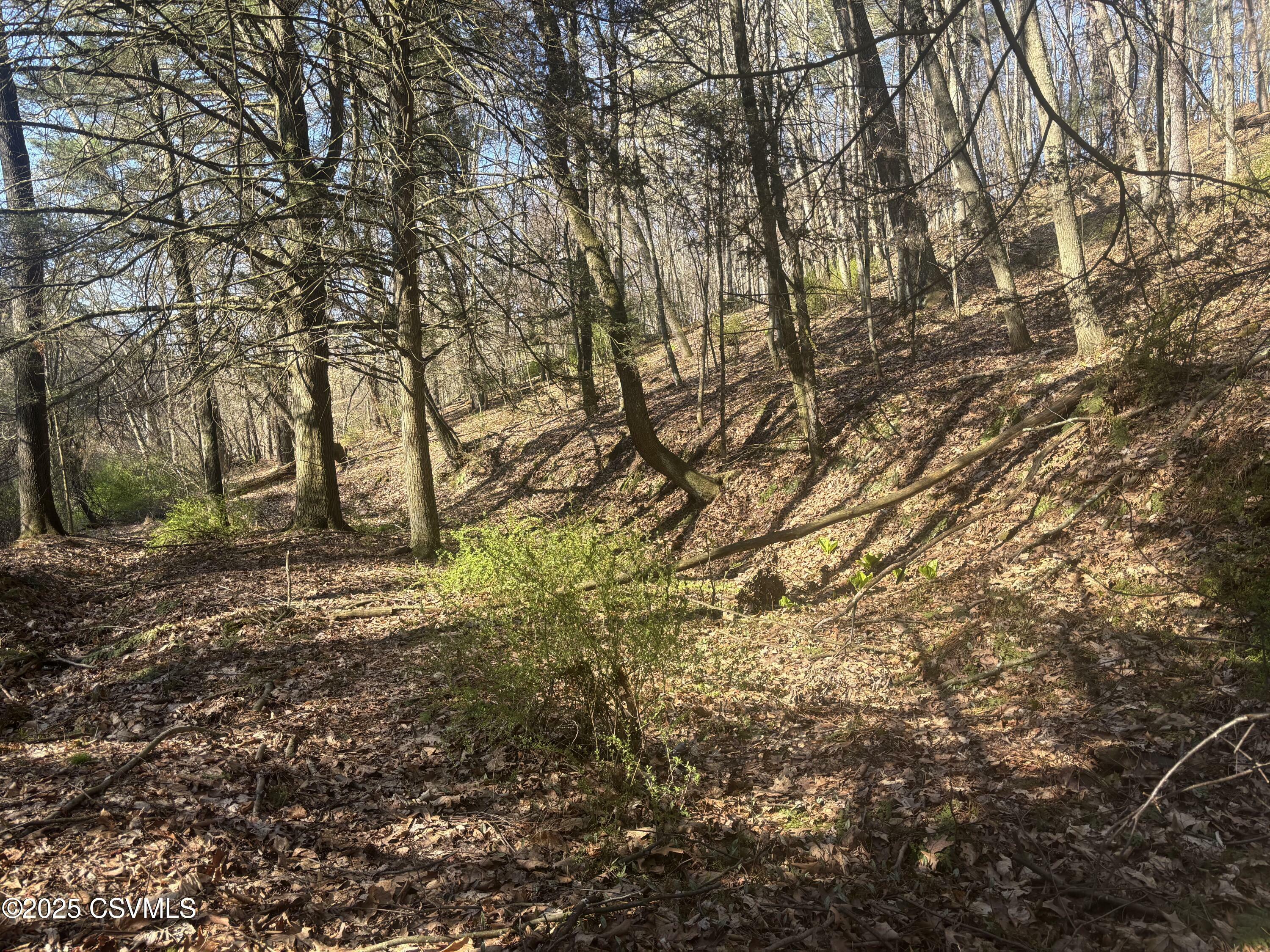 Mellick Hollow Road  Bloomsburg PA 17815 photo