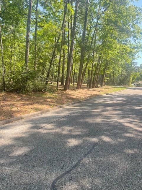 Property Photo: 26705 Maple Lane TX 77320