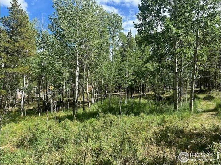 0 Aspen Cir  Black Hawk CO 80422 photo