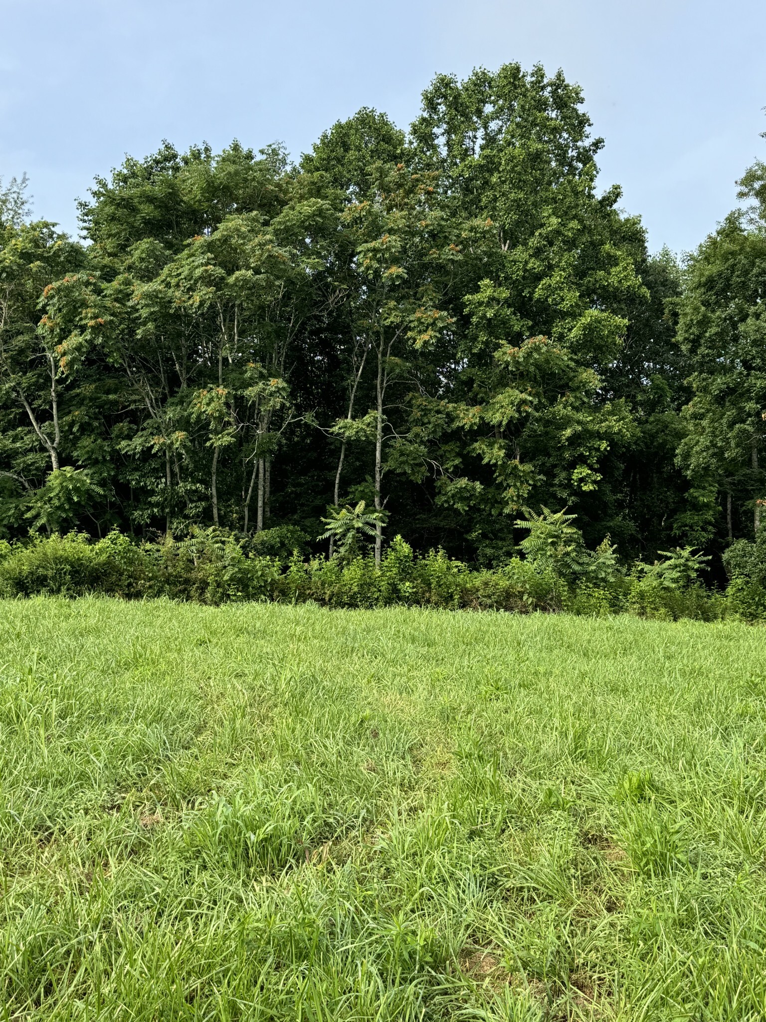 Property Photo: 0 Oak Grove Rd TN 37150