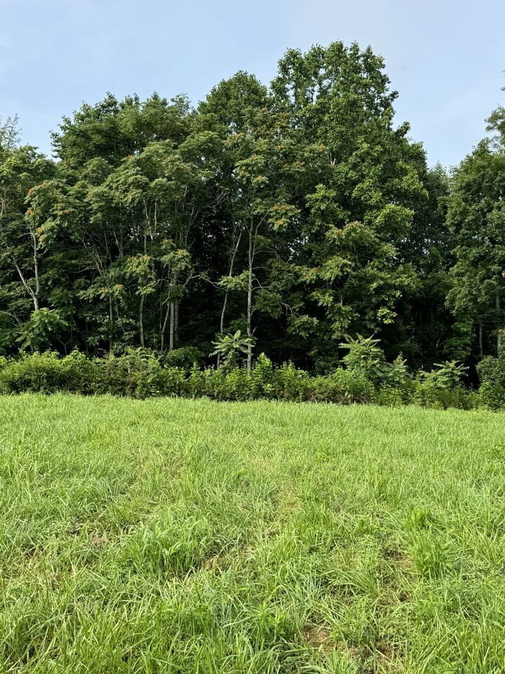 Property Photo:  0 Oak Grove Rd  TN 37150 