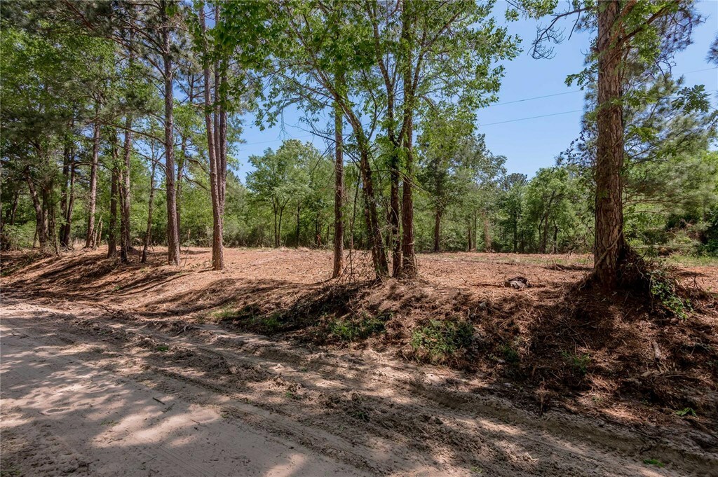 Property Photo: T1 6077 Cr 4200 TX 75856