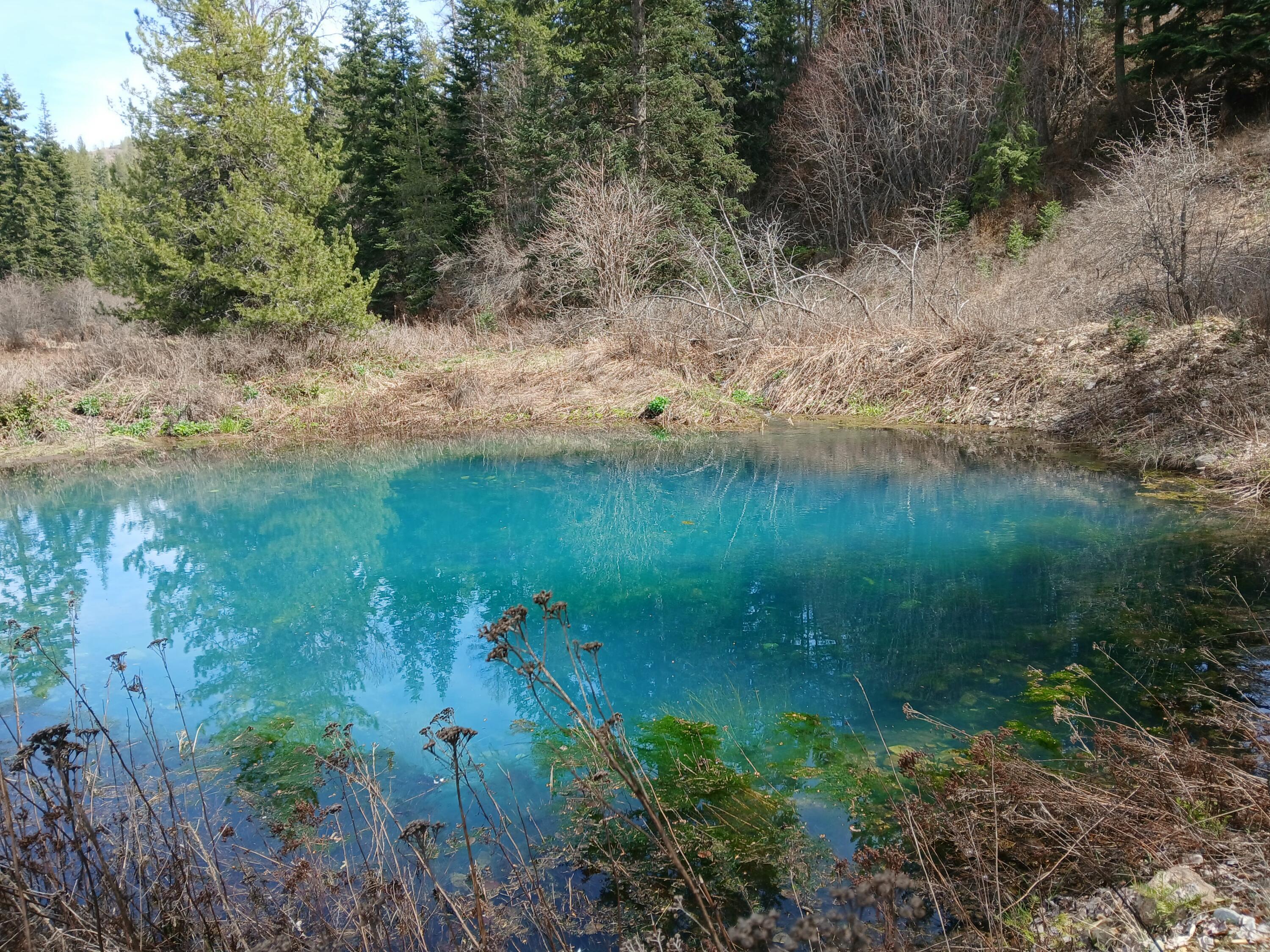 Property Photo: 4224 Grouse Creek Rd WA 99148