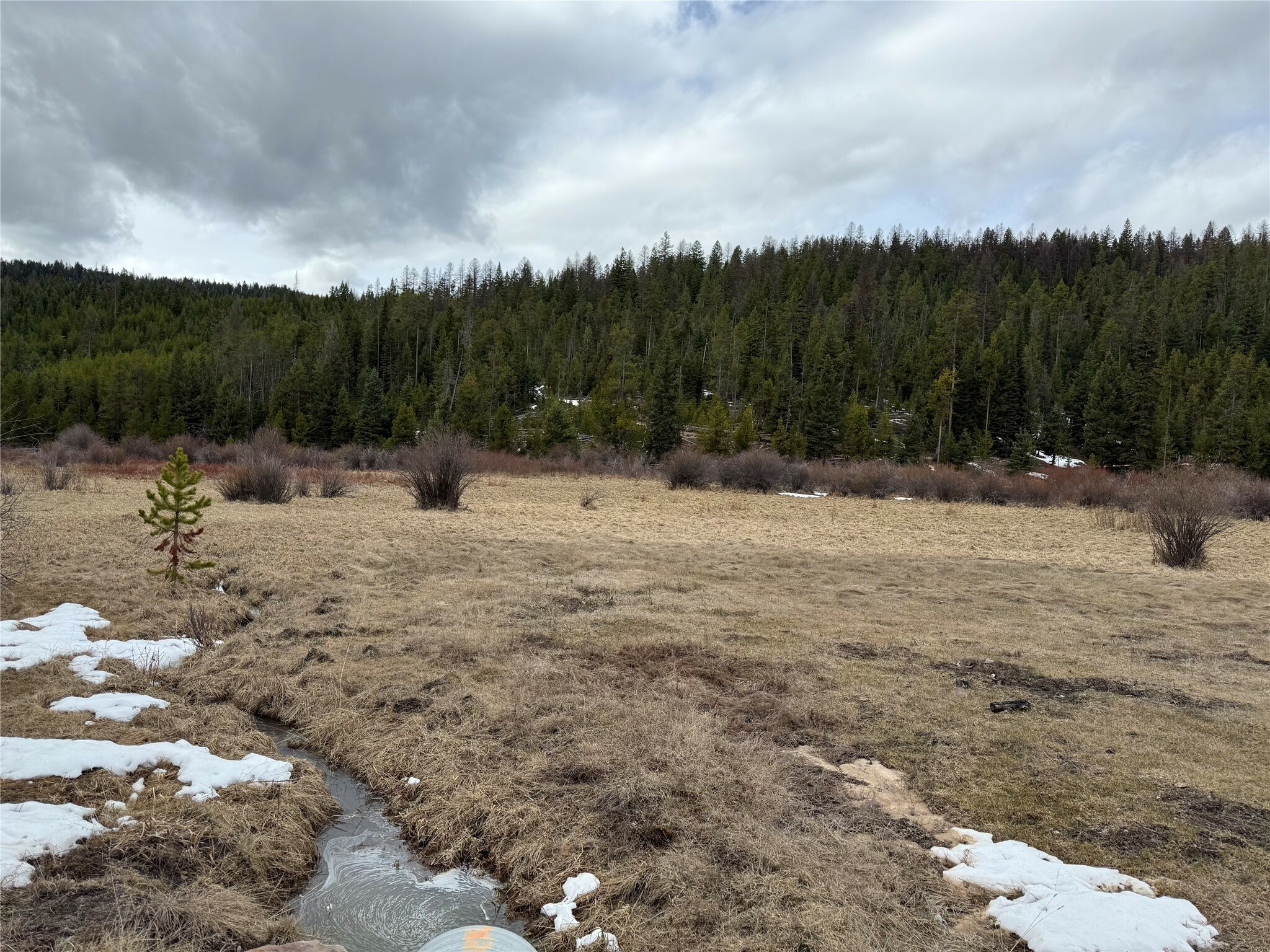 Property Photo: 26043 Mill Creek Road MT 59834