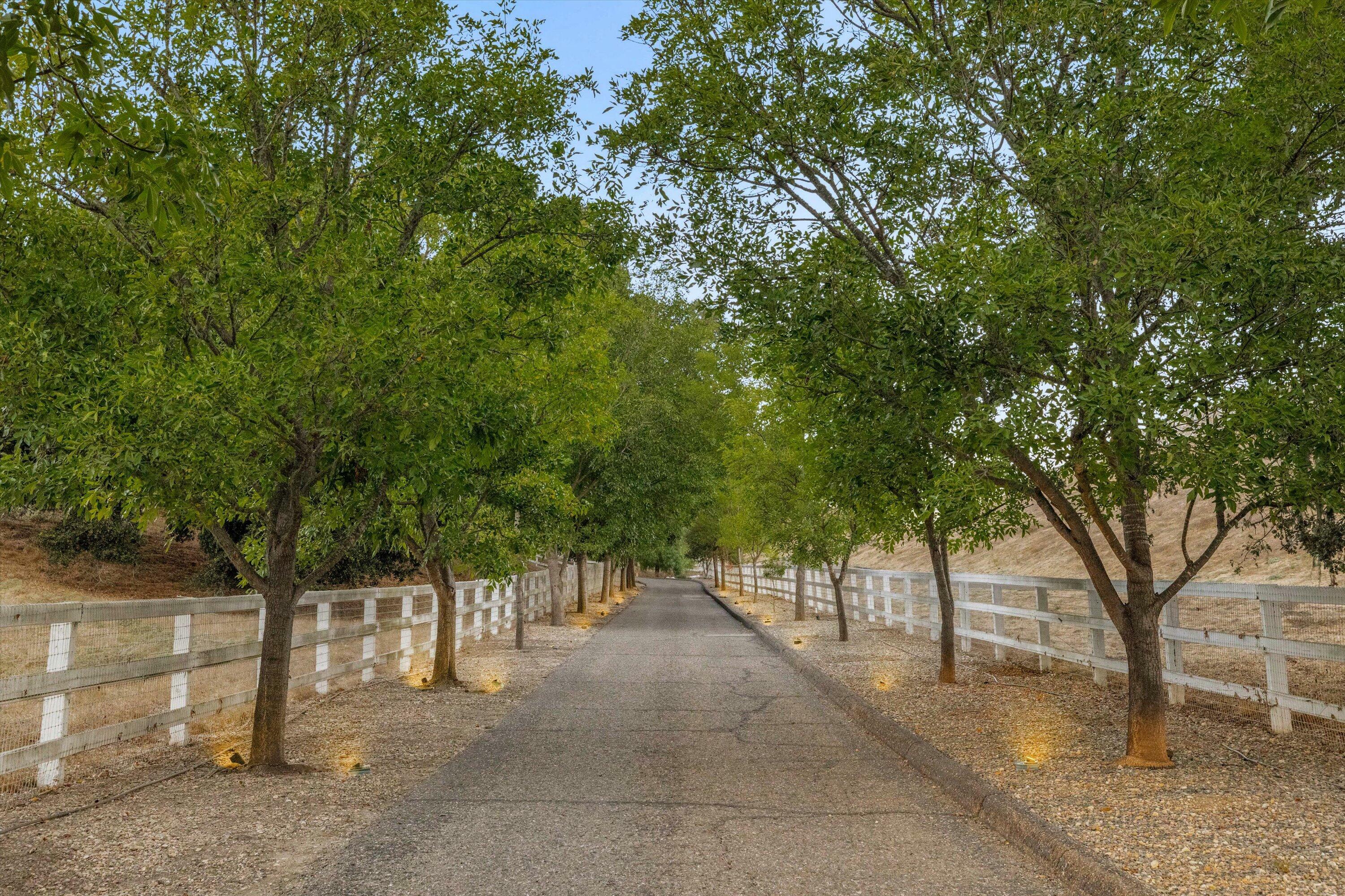 Property Photo: 2995 Calle Bonita CA 93460