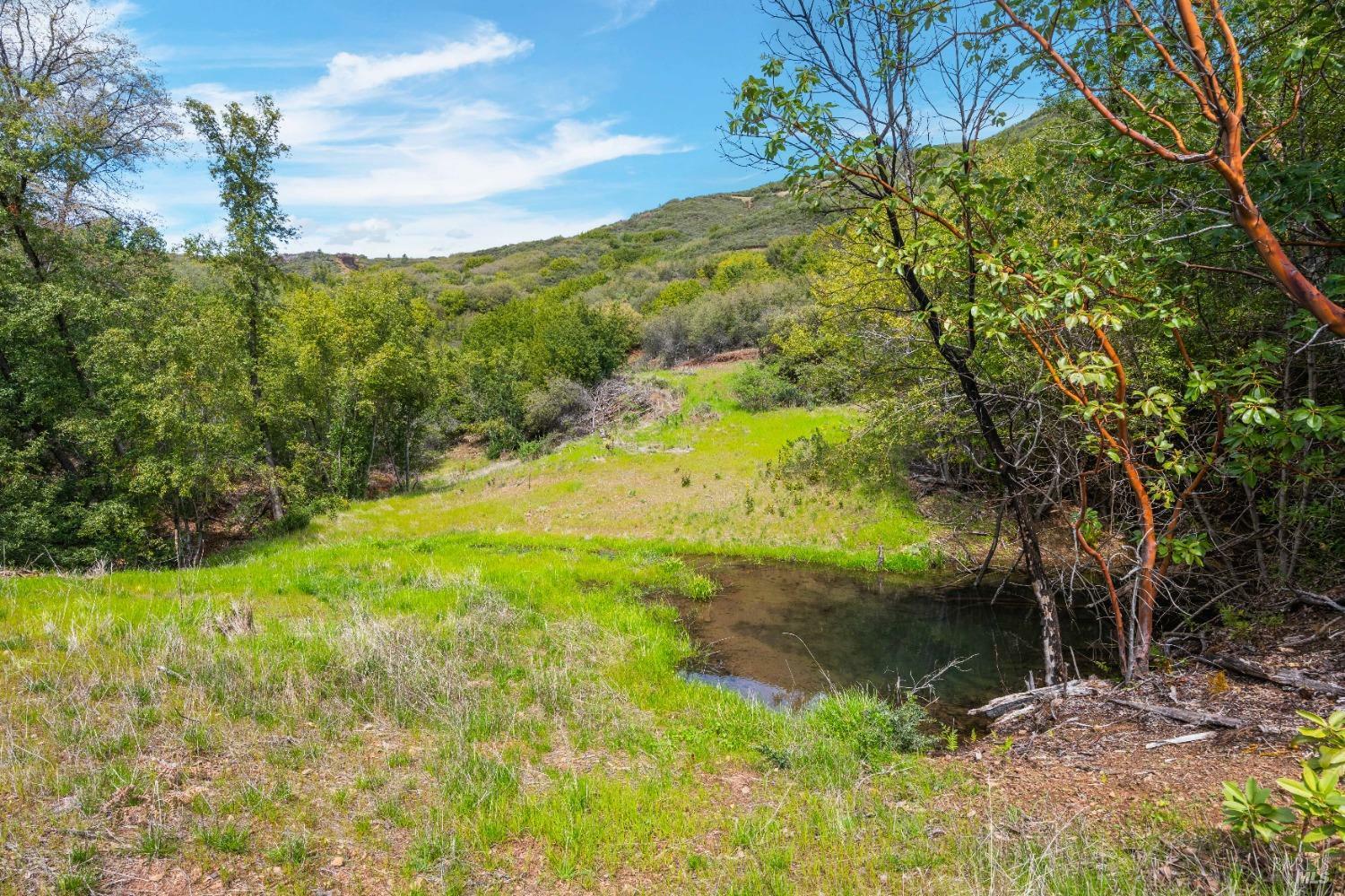 Property Photo:  35150 Pine Mountain Road  CA 95425 