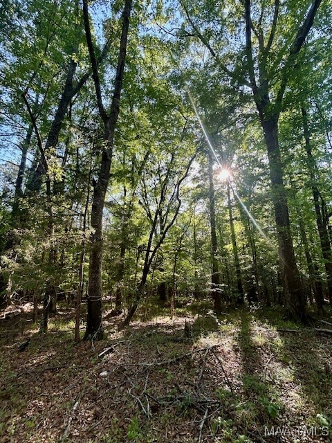 Property Photo: 0 Sherling Lake Road AL 36037
