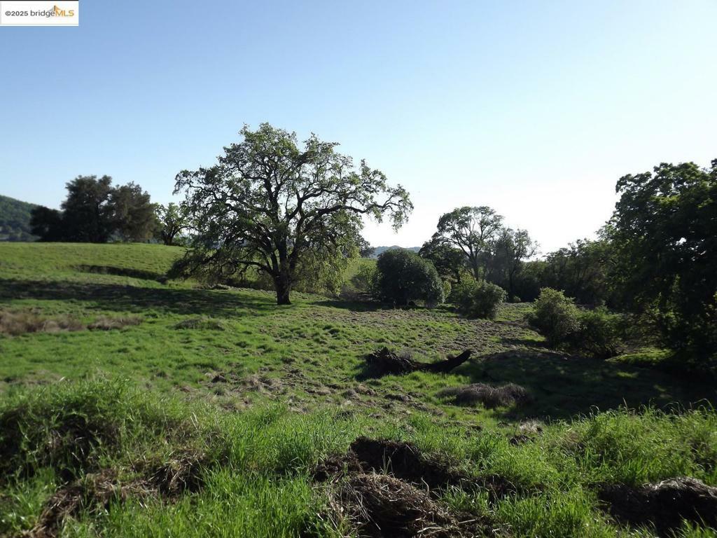 Property Photo: 39305 Pine Mountain Rd CA 95425