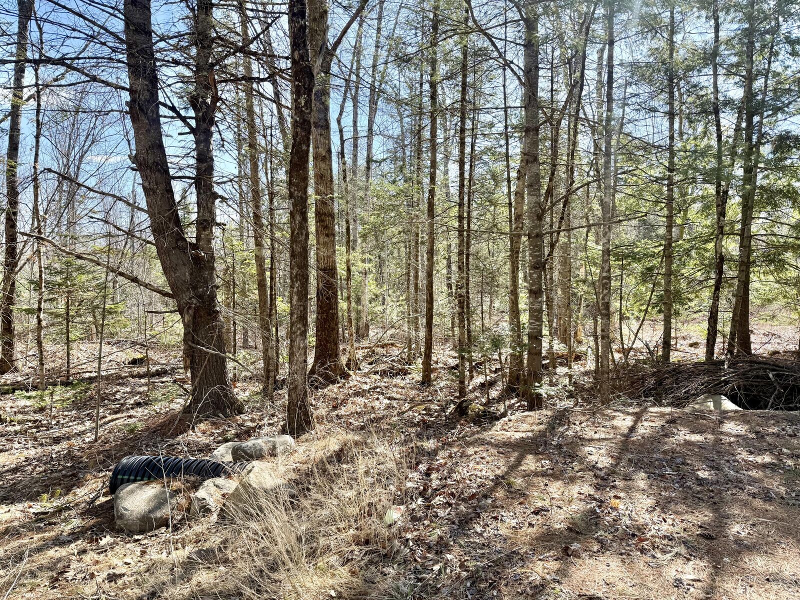Property Photo: Lot 1 Valley East Sub, South Main Street ME 04952