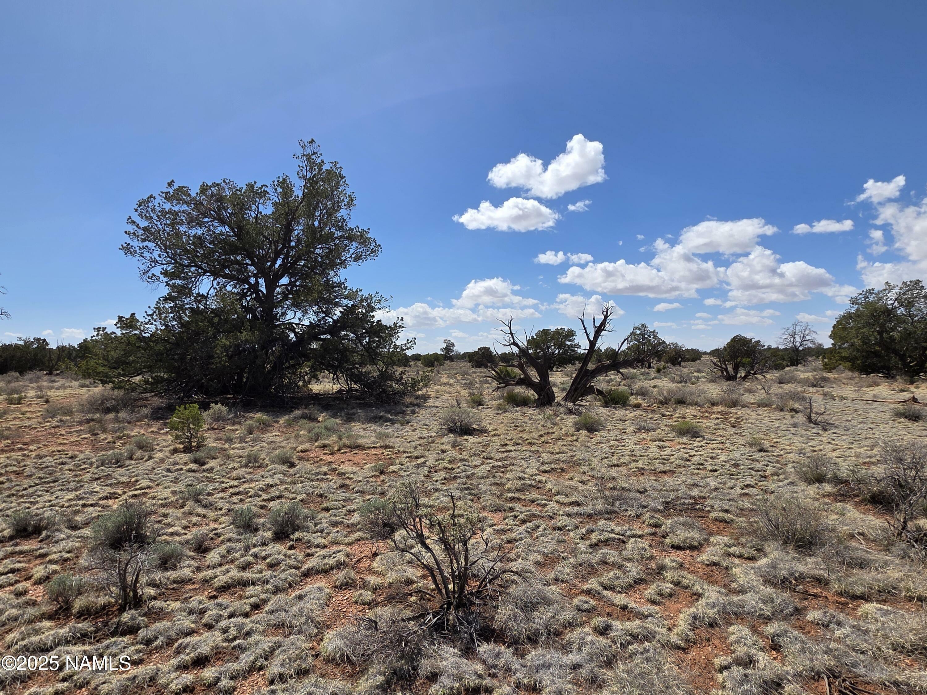 Property Photo:  Parcel # 50106027 / Wyandotte Rd  AZ 86046 