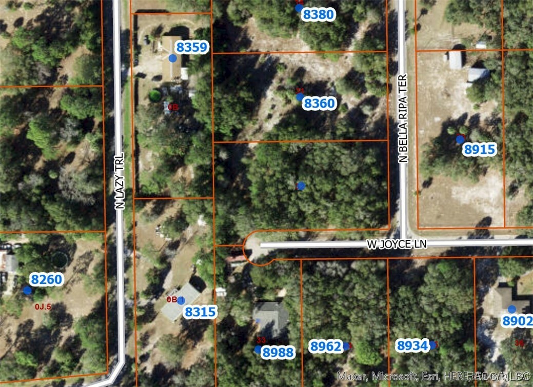 Property Photo: 8332 N Bella Ripa Terrace FL 34428
