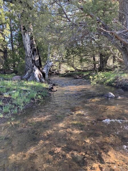 Property Photo:  Paradise Springs Ranch 640 Acres  UT 84781 