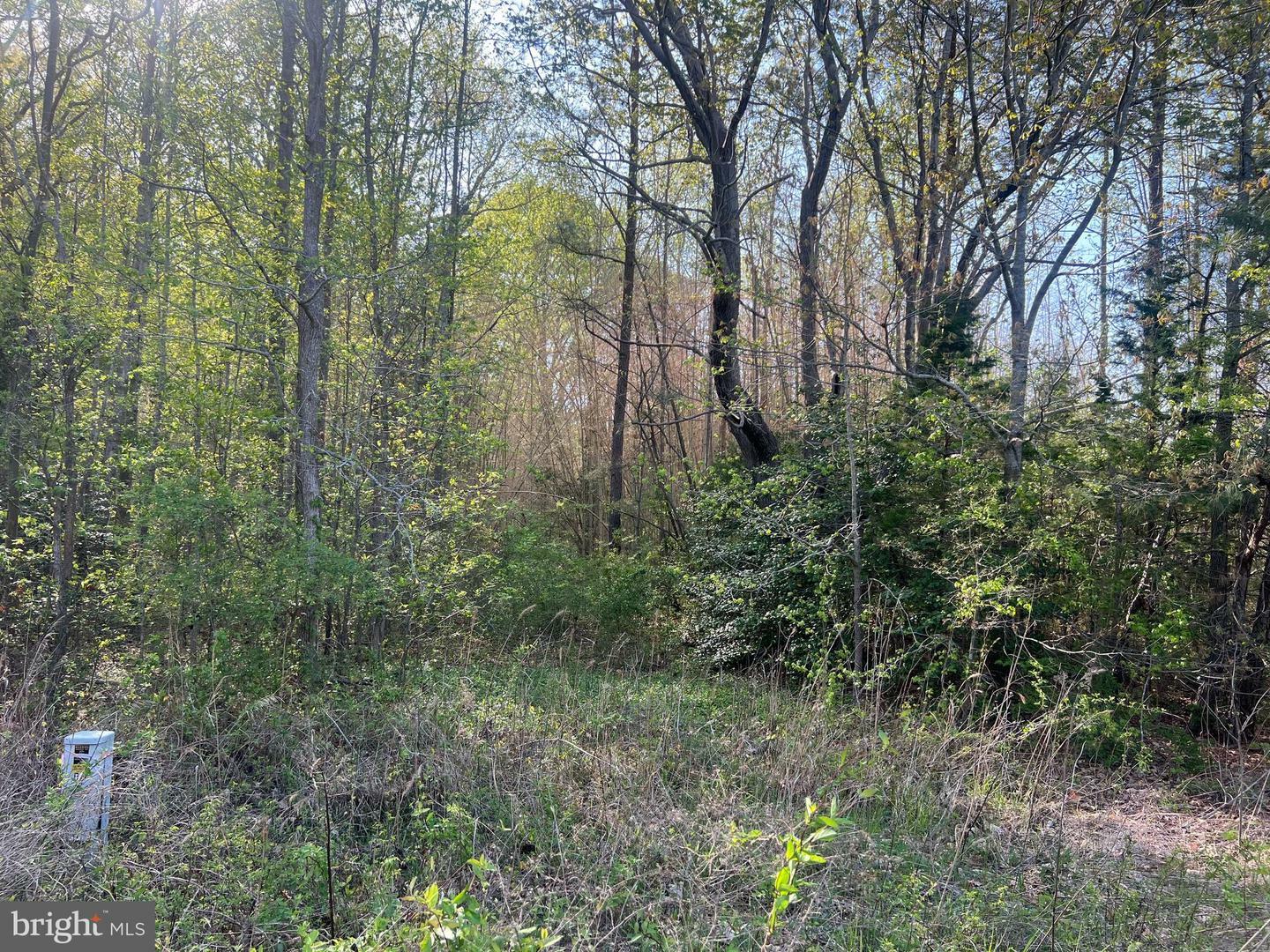 Property Photo: Lot 1 Mt Holly Road VA 22520
