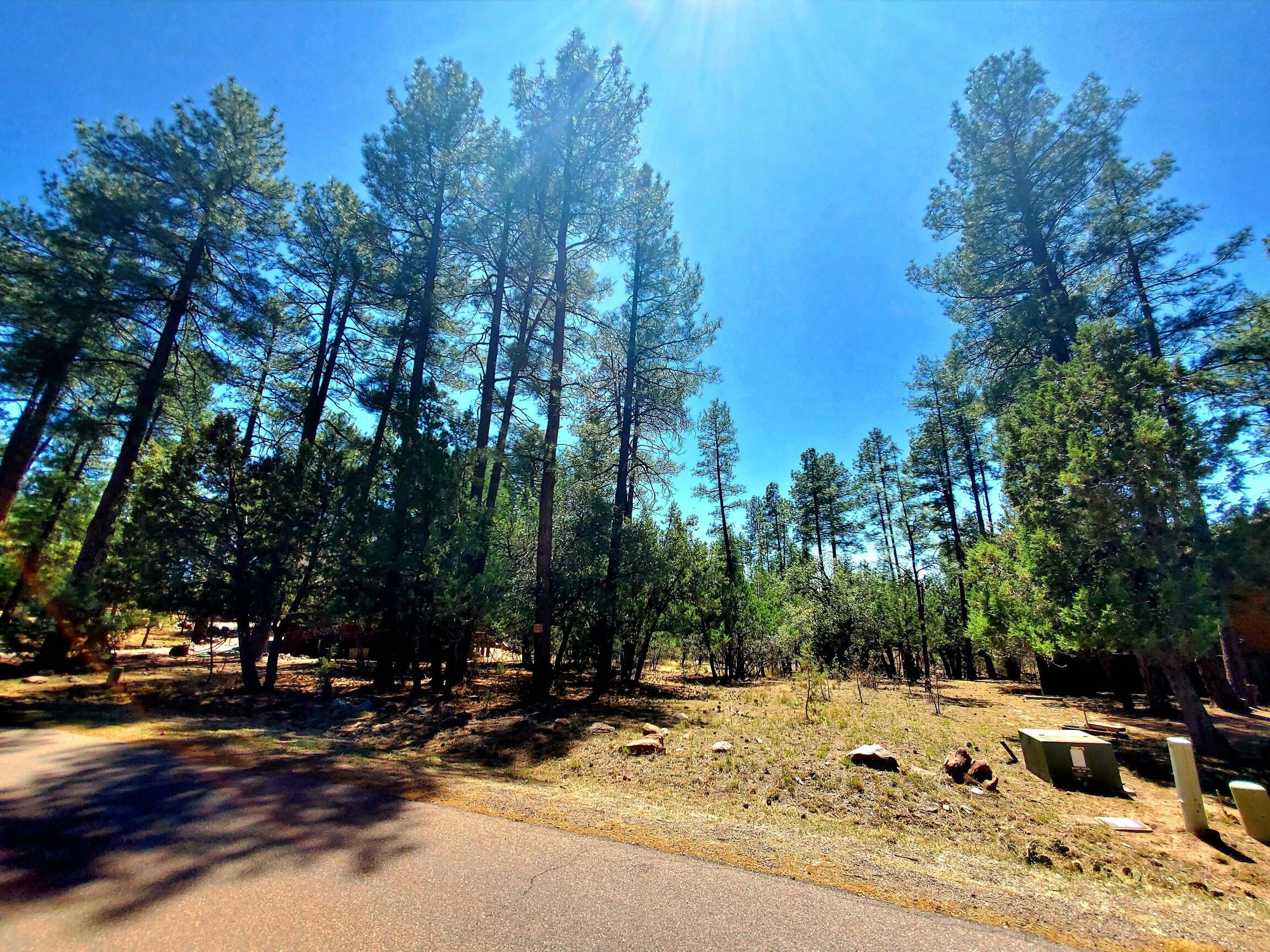 Property Photo: 87 N Mistletoe AZ 85544