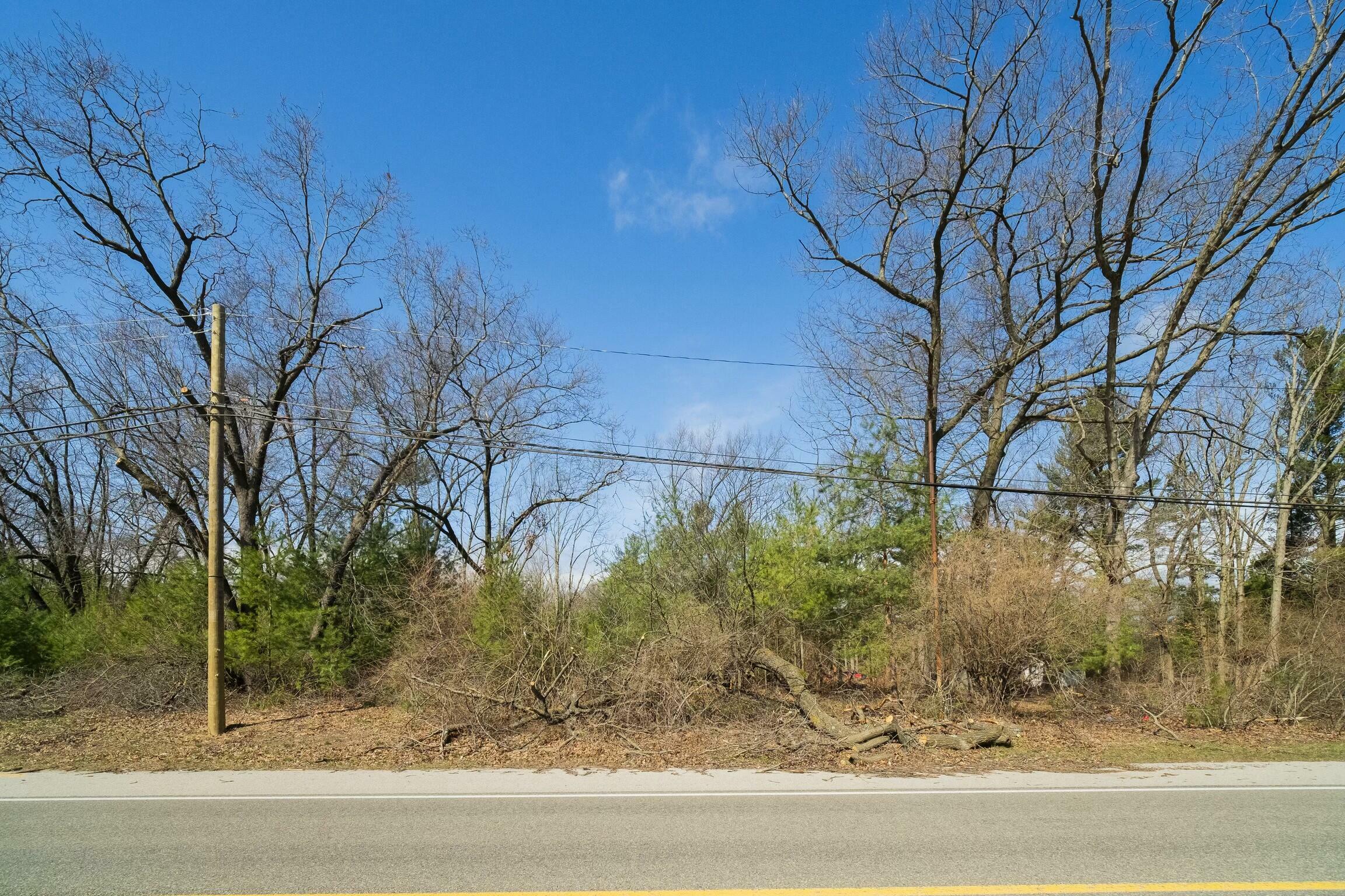 Property Photo:  Nelson Street  MI 49660 
