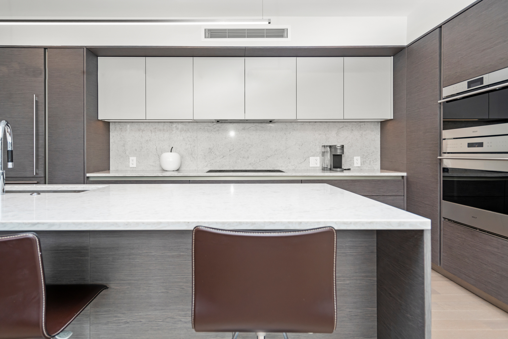 Property Photo: 366 W Superior Street 501 IL 60654