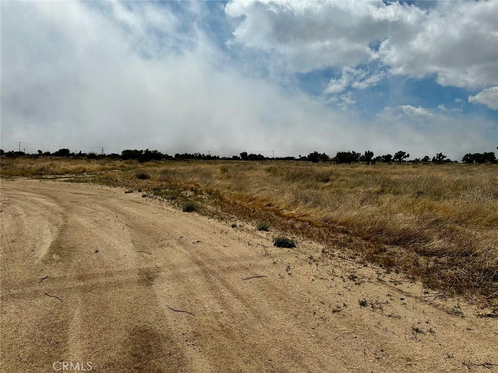 Property Photo: 0 Tumbleweed Rd. CA 92371