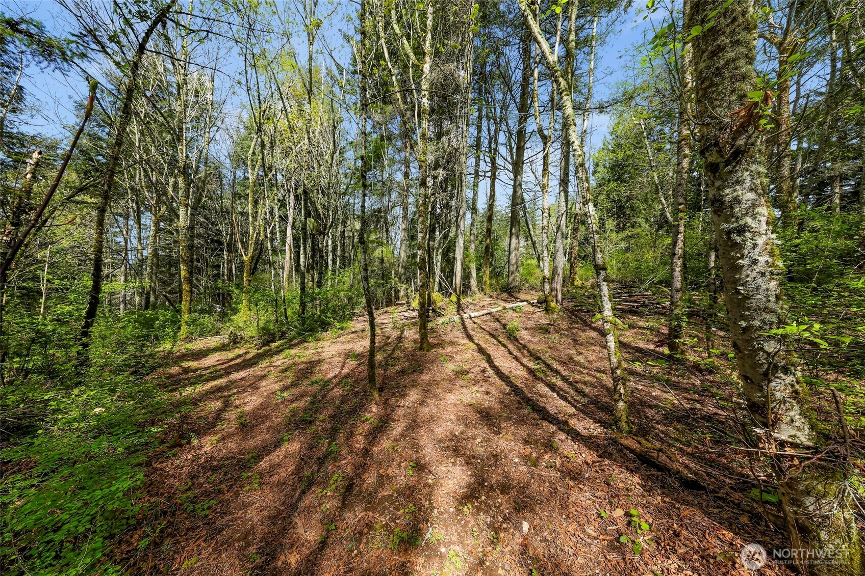 Property Photo: 1800 40th Place WA 98229