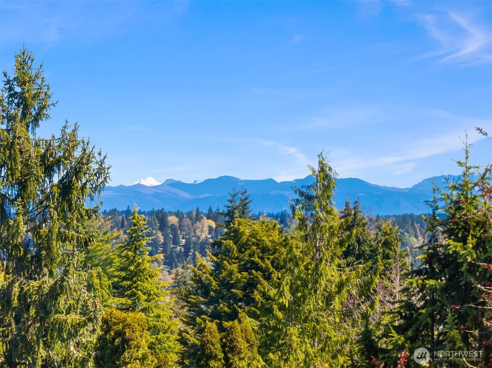 Property Photo: 4275 95th Avenue SE WA 98040