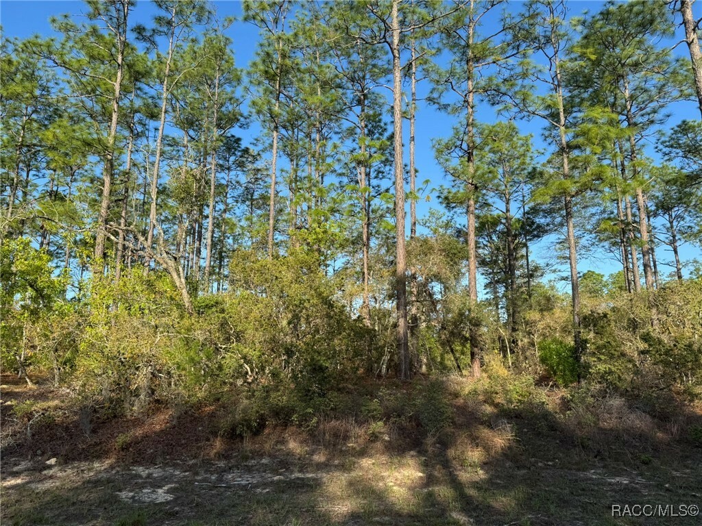 Property Photo:  6638 N Harcross Avenue  FL 34433 
