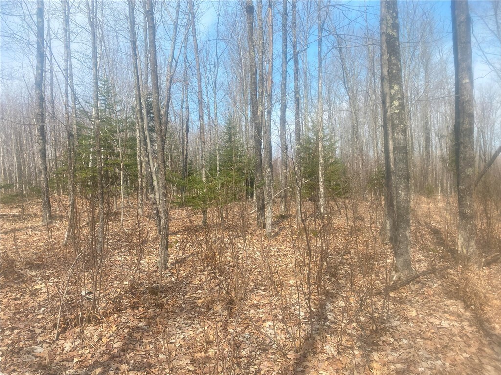 Property Photo: Tbd Old 13 Rd WI 54844