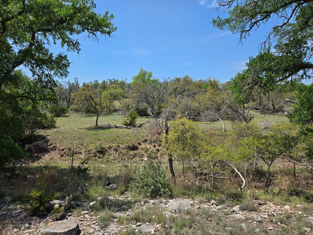 0 Badger Ridge Rd  Fredericksburg TX 78624 photo