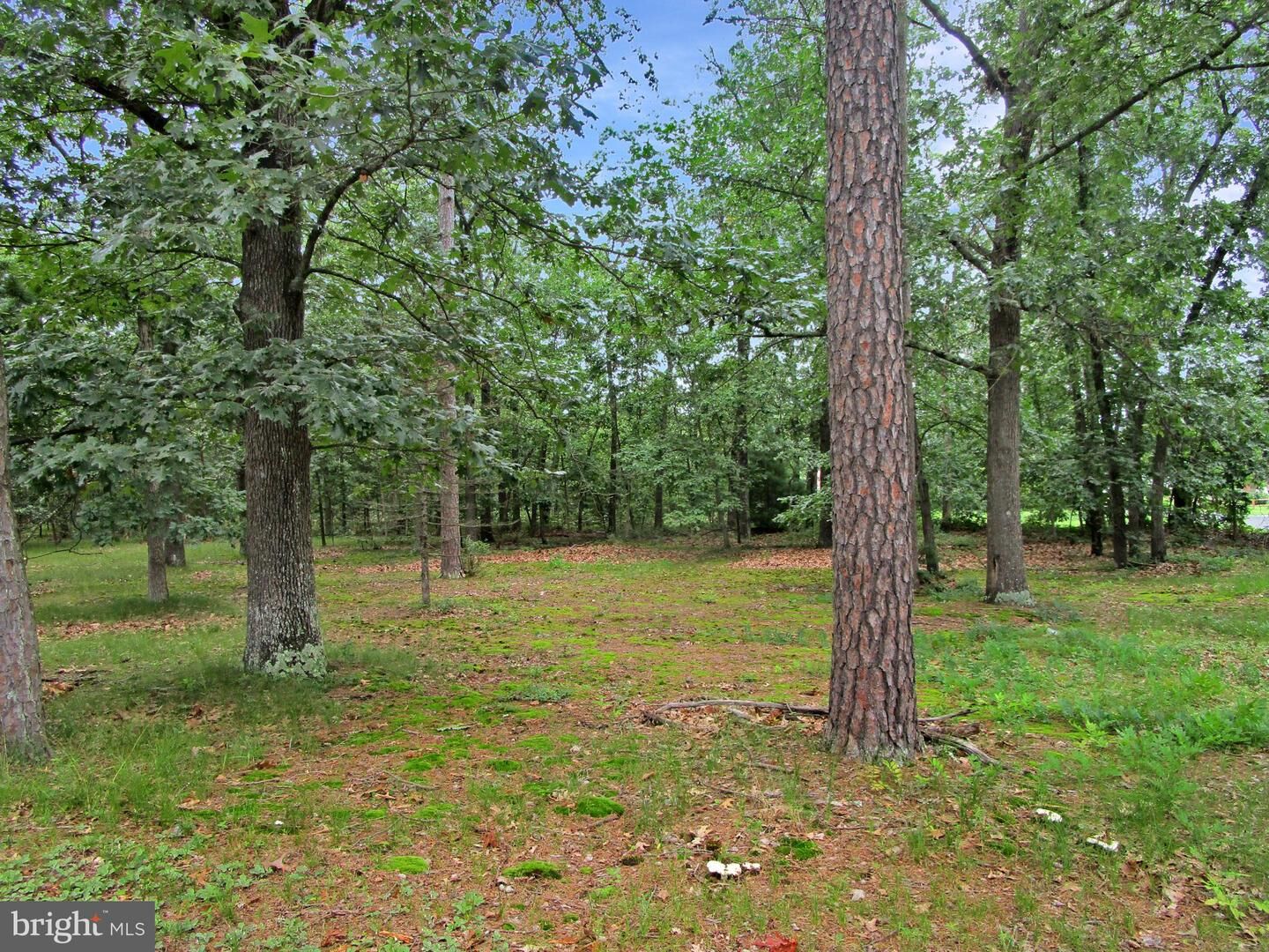 Property Photo:  0 Maple Avenue  NJ 08089 