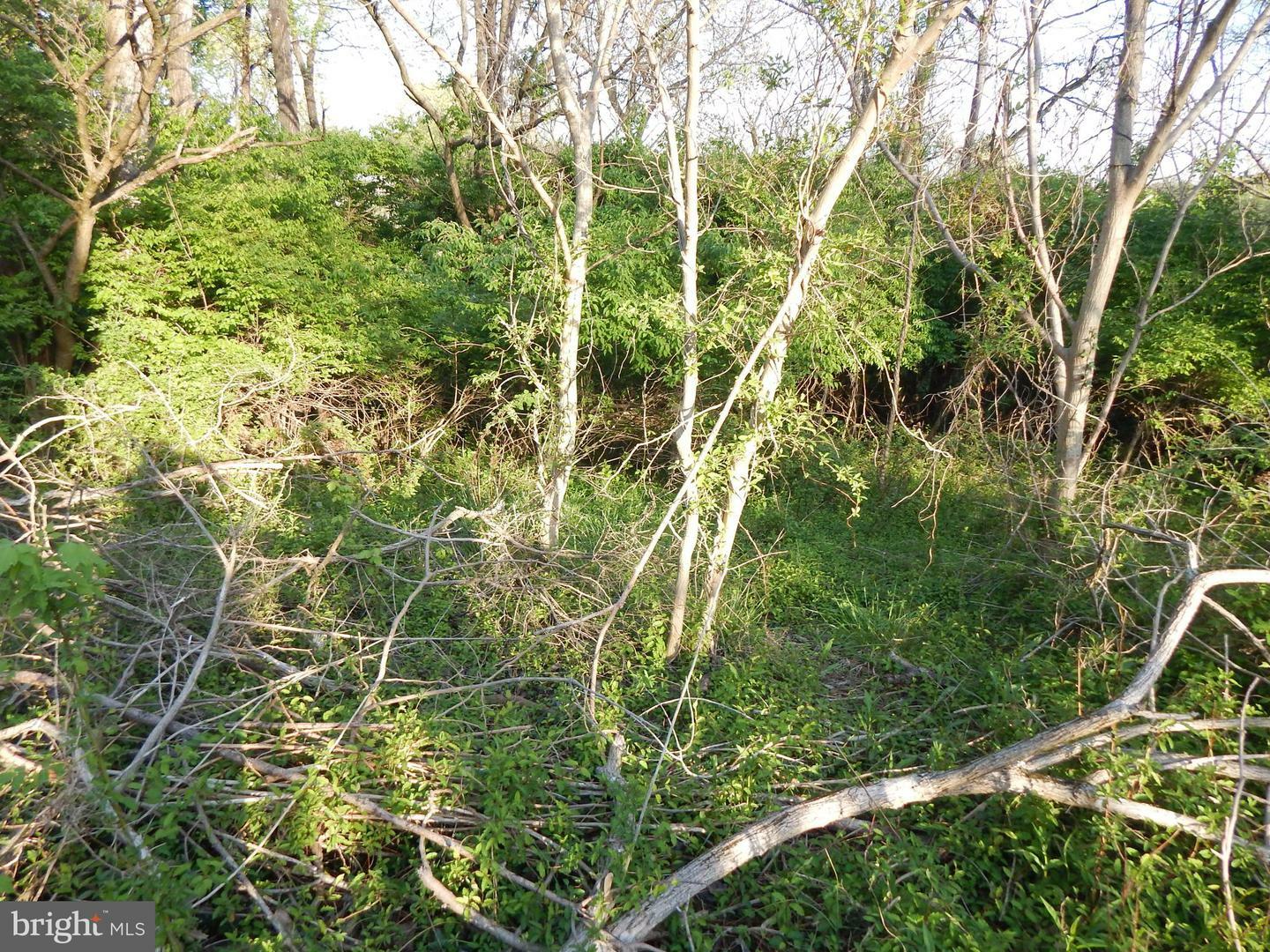 Property Photo: Lot 92 Siebert Street WV 25404