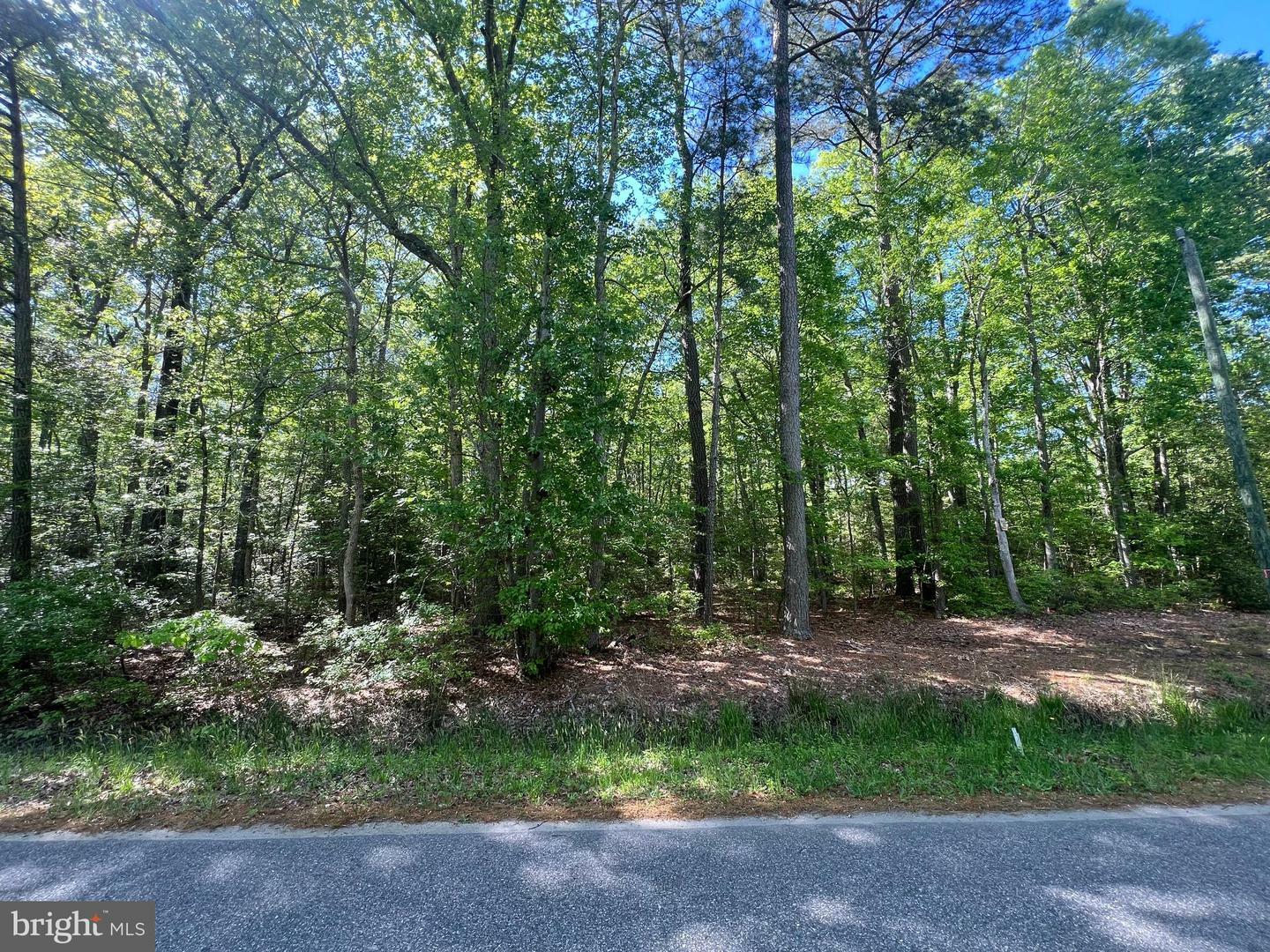 Property Photo: Lot 218 Ware Neck Road VA 23061