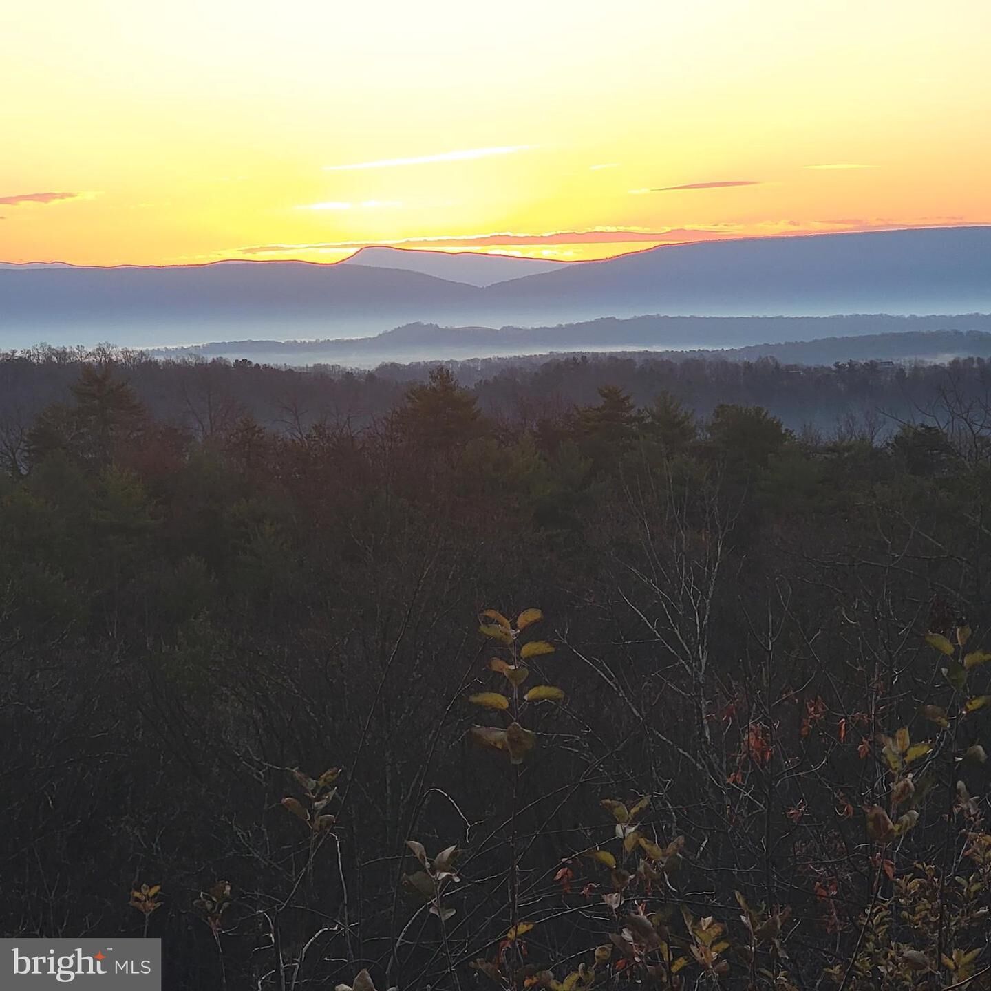 Property Photo:  685 N Maple  VA 22842 