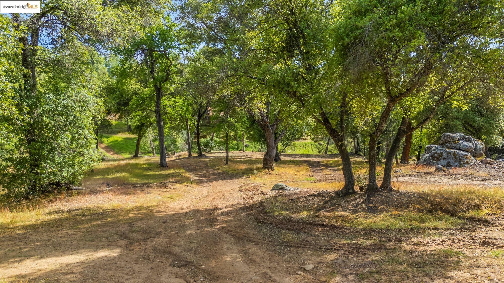 Property Photo: Lot 9 Henry D Court CA 95370
