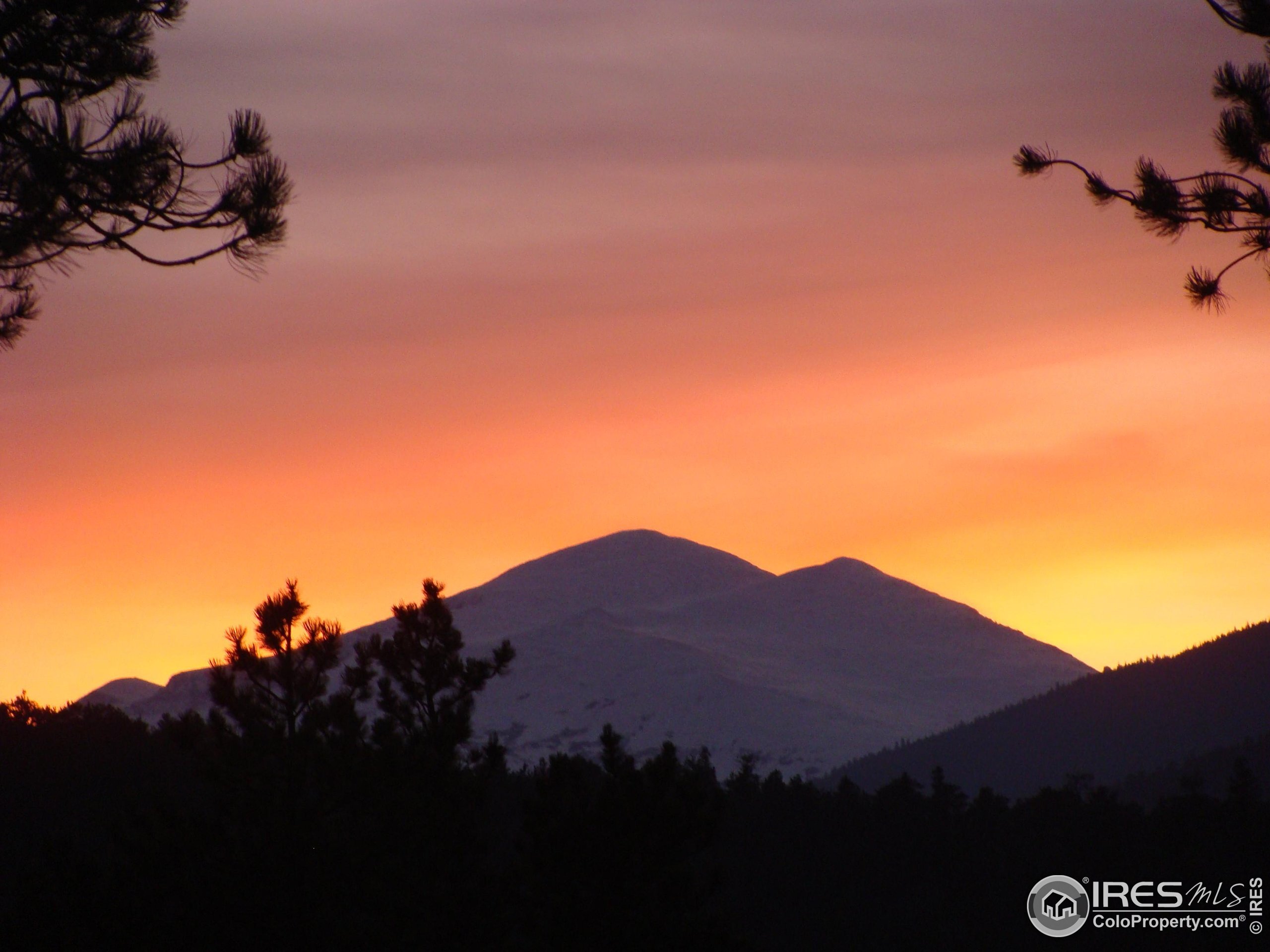 Property Photo: 0 Cedar Dr CO 80540