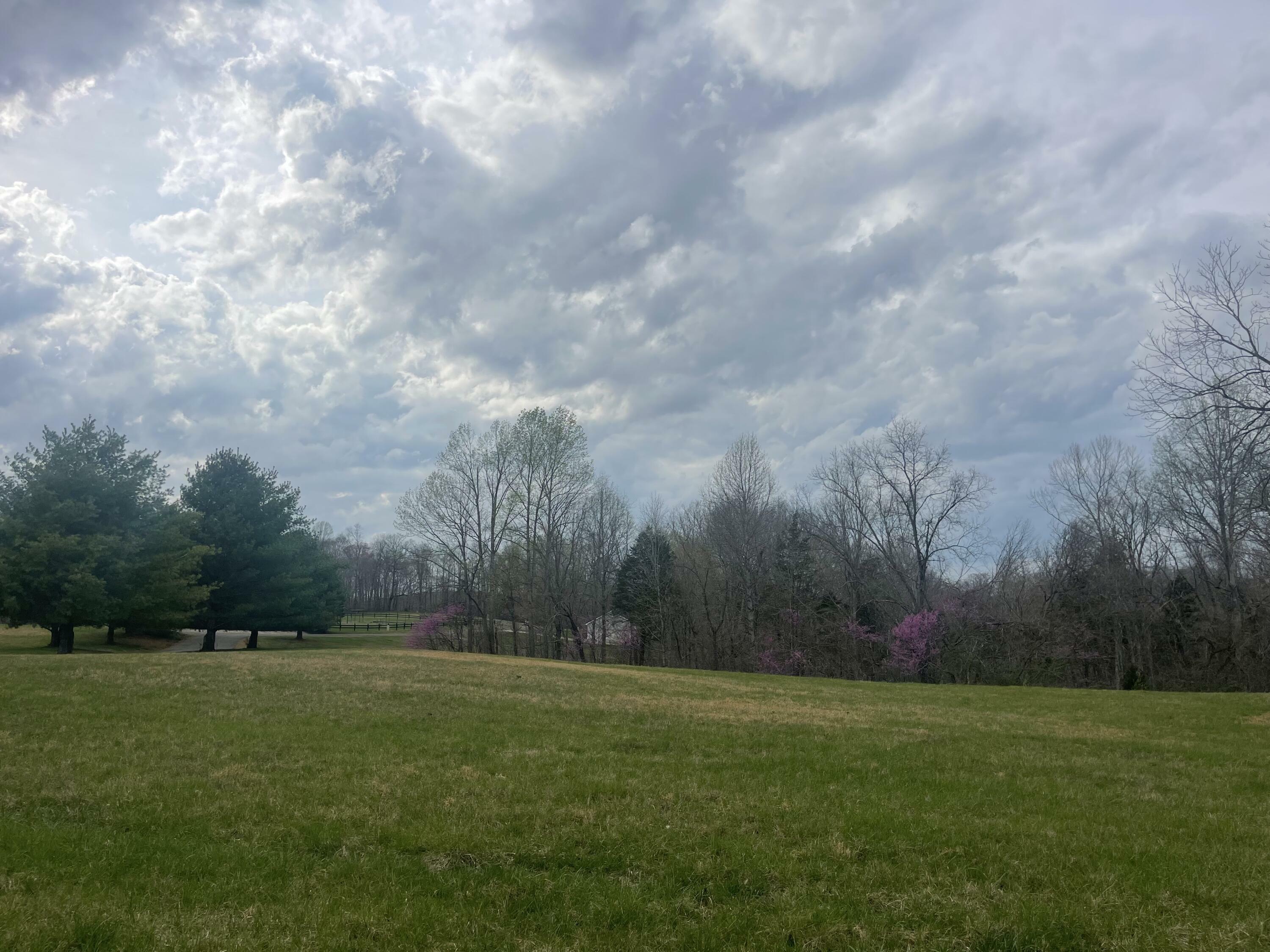 Property Photo: Lot 114 Parks Ridge KY 42642