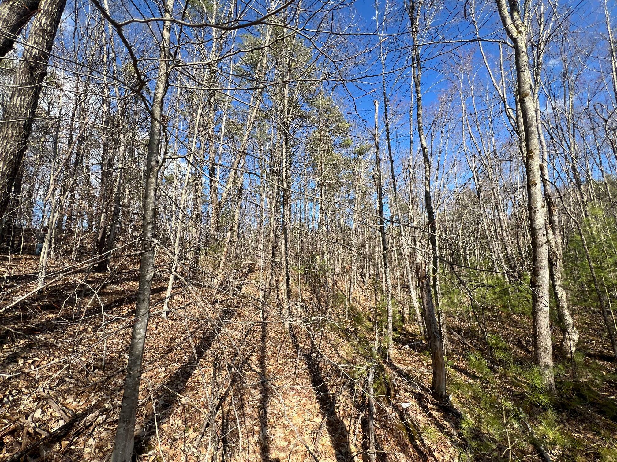 Property Photo: Lot 45 Long Street ME 04048