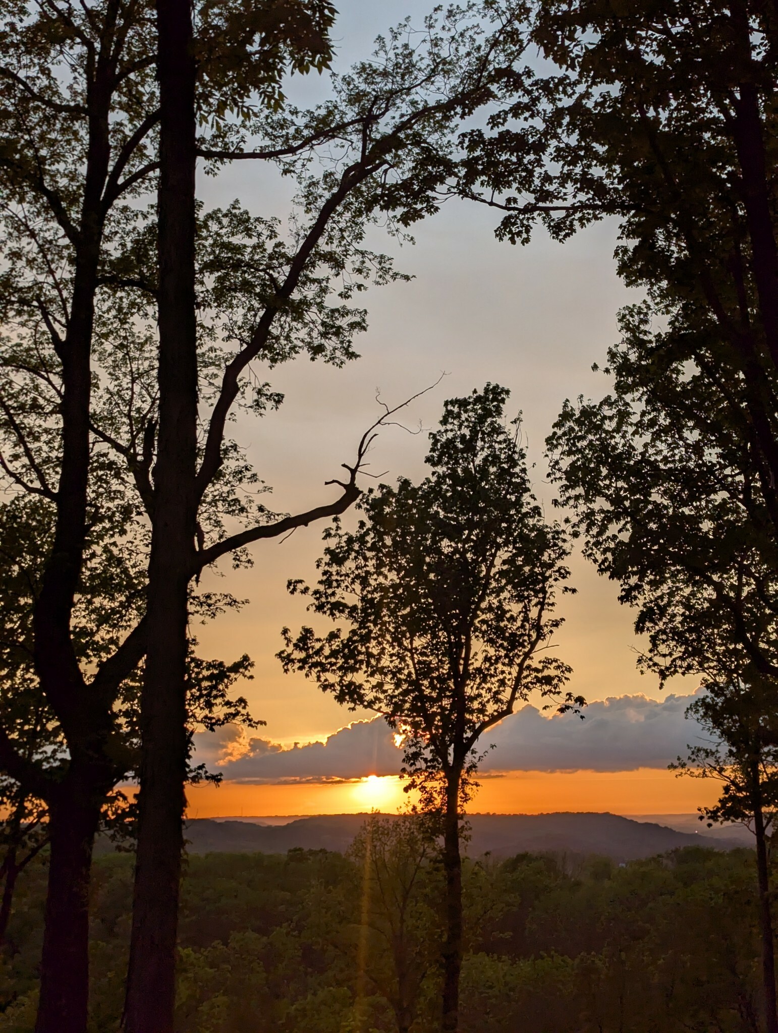 Property Photo: 6220 Murray Ln TN 37027