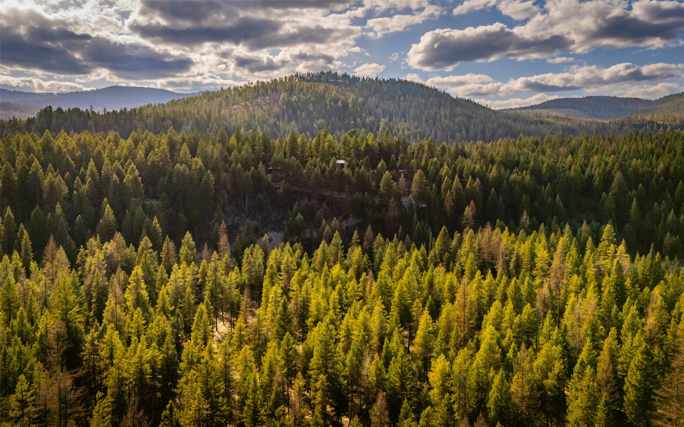 Property Photo: 1298 E Mountain Meadow Road MT 59901