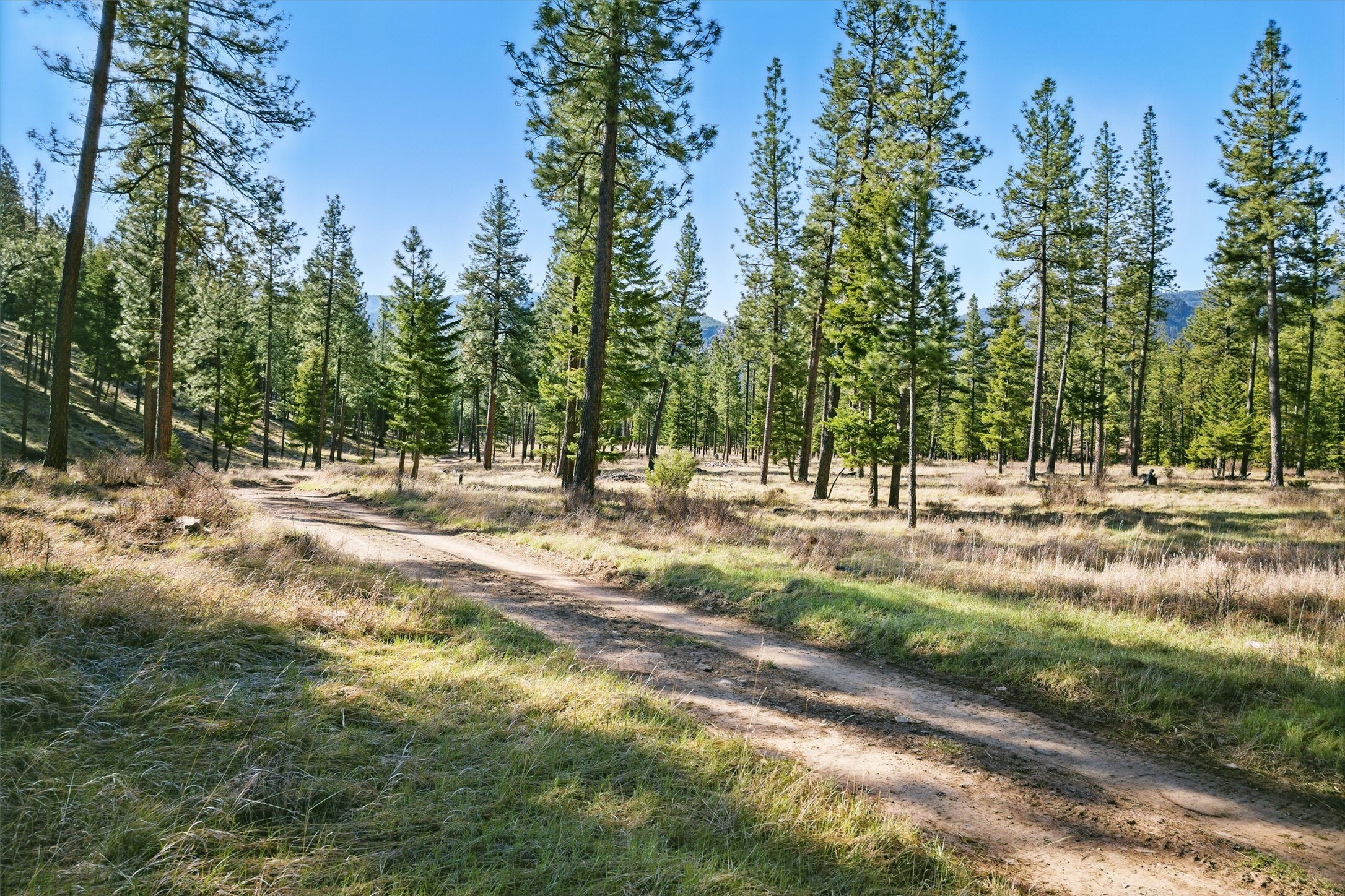 Property Photo: 13902 Highland Trail MT 59820