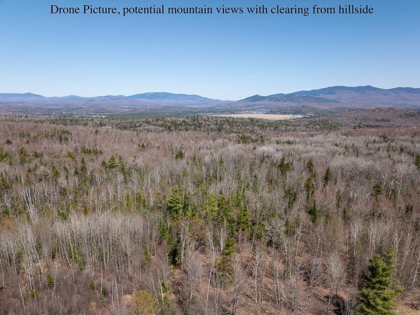 Property Photo: Lot 12 &Amp 13 Fellows Road VT 05905