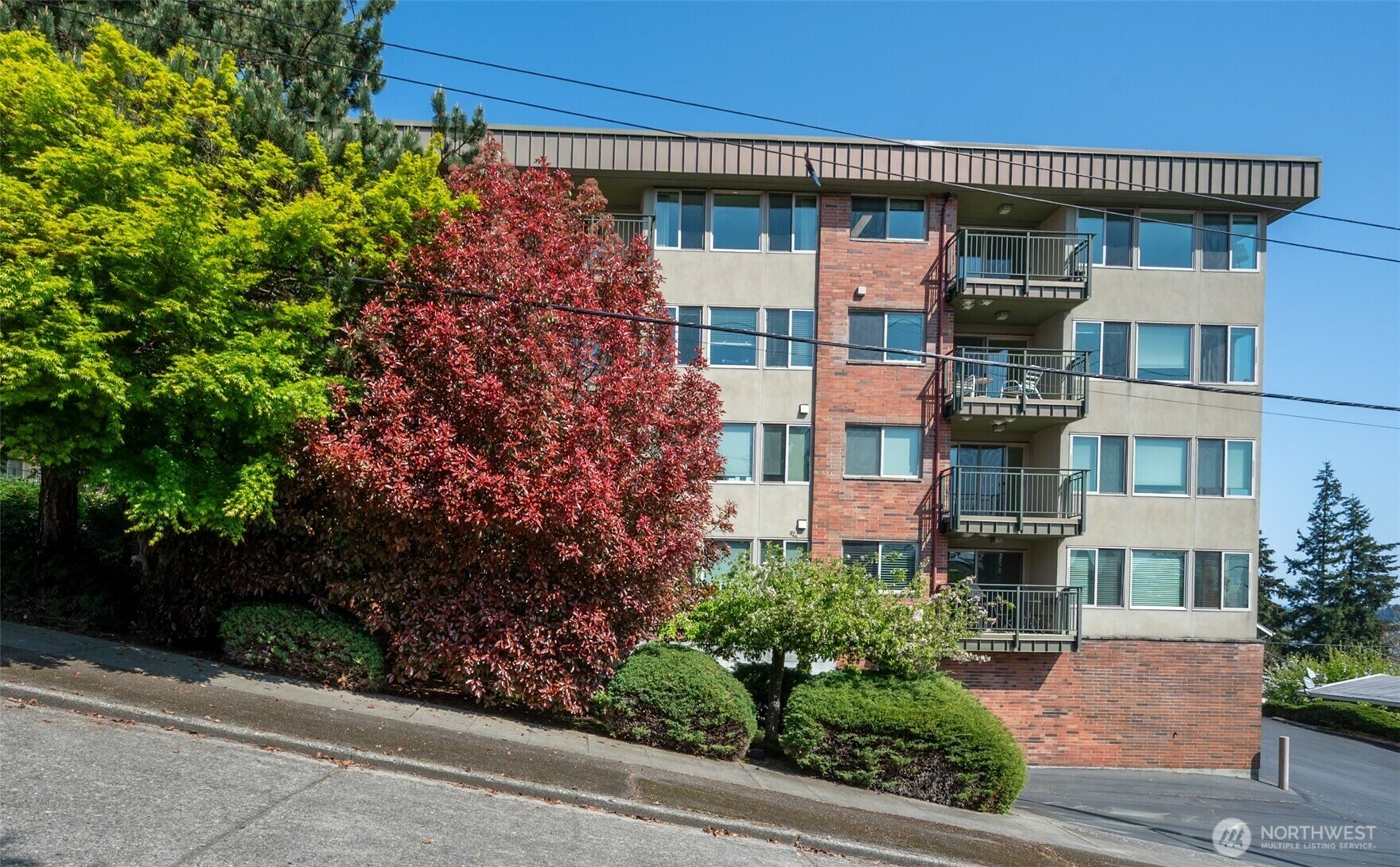 3400  25th Avenue W 101  Seattle WA 98199 photo