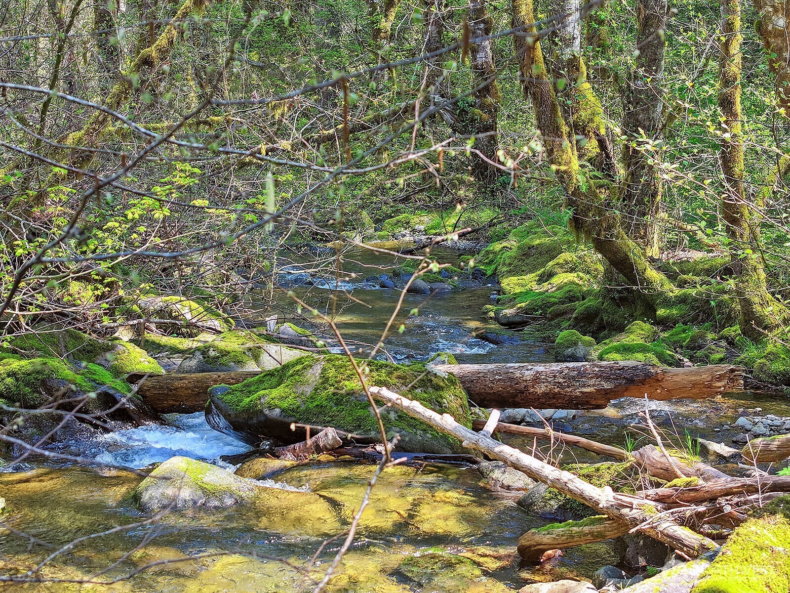 Property Photo: 51 Foster Road WA 98610