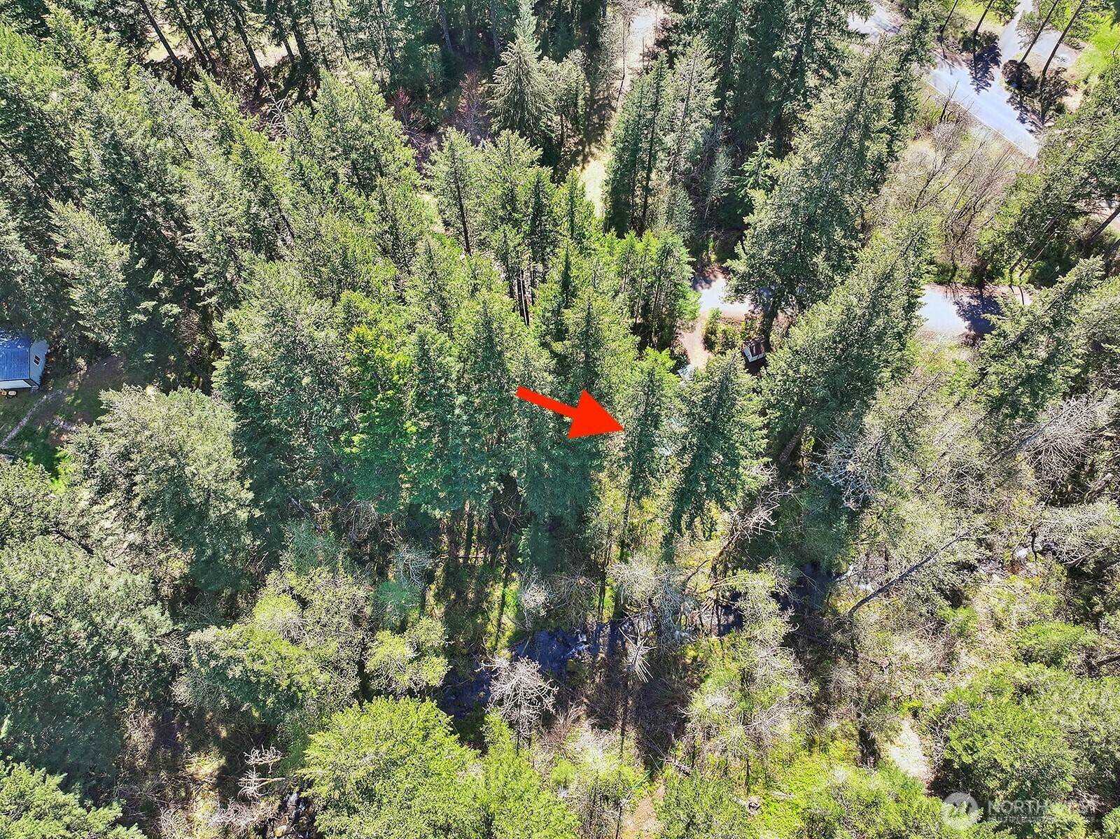 Property Photo: 51 Foster Road WA 98610