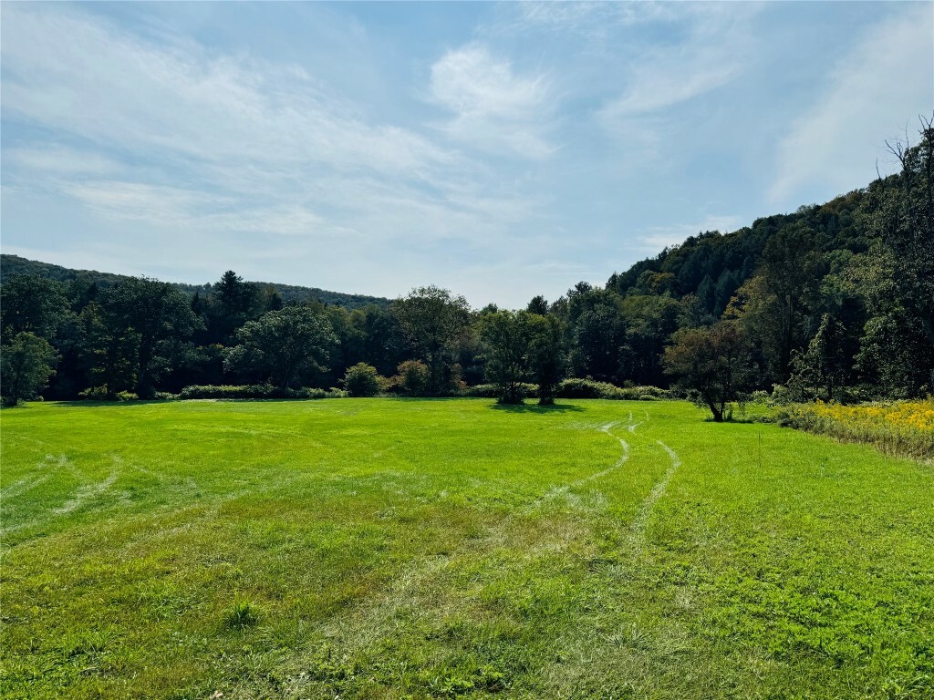 10-48 Evans Road  Hancock NY 13783 photo