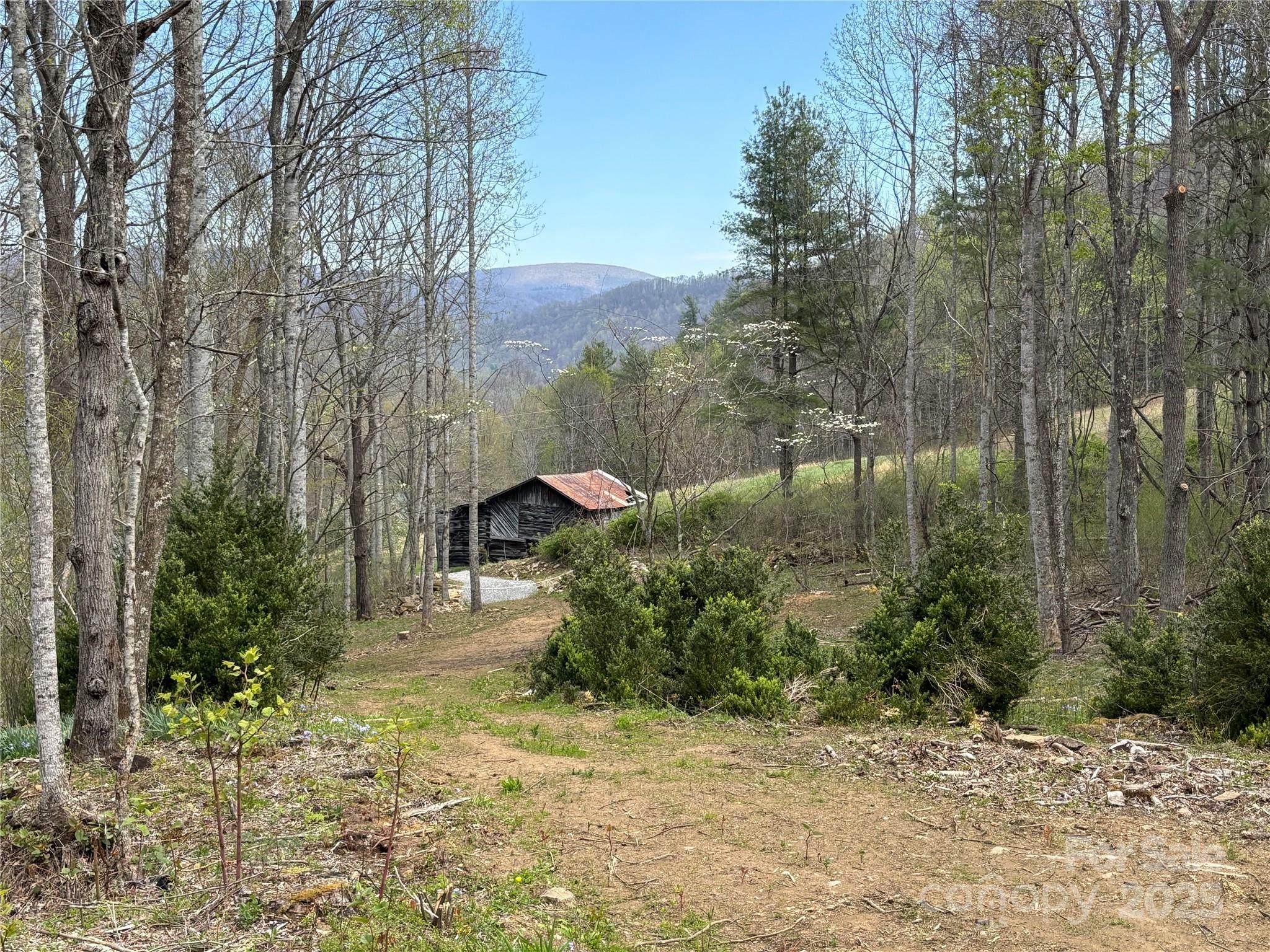 Property Photo:  (East Lot) Tbd Silas Branch Road  NC 28714 